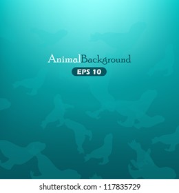 Animal background with seals