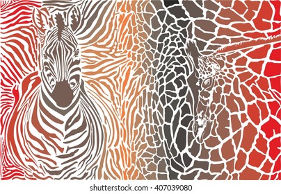 Animal background of zebra and giraffe