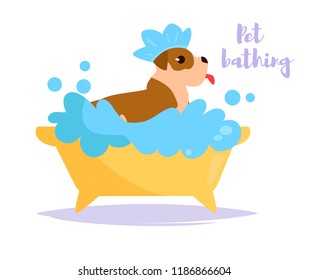 Animal bath Vector. Cartoon. Isolated art on white background. Flat