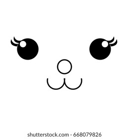  animal bear
