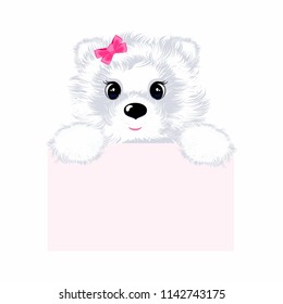 animal bear white with a bow holding a sheet of paper