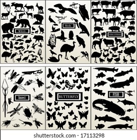 Animal - big vector collection