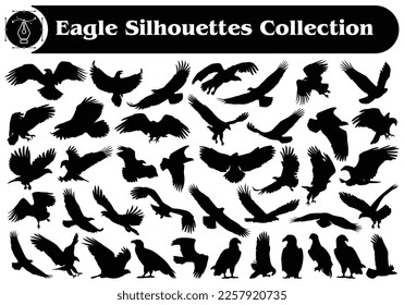 Animal bird Eagle silhouette Vector Collection