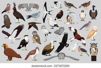 Animal Bird of Prey Eagle Hawk Kite Falcon Owl Vulture Characters Cartoon Vector