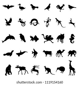 Animal Bird Reptile Silhouettes