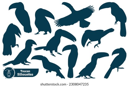 Animal Bird Toucan Silhouettes vector illustration