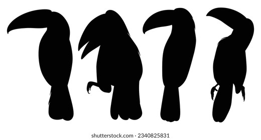 Animal Bird Toucan Silhouettes vector illustration