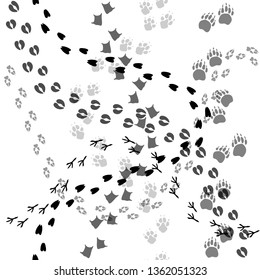 A lot of animal and bird trace steps black imprints, seamless pattern on white