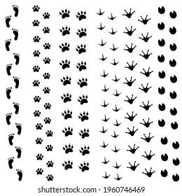 Animal and bird tracks, footprint. Trace steps imprints isolated on white. Animal trails, paw silhouette print. Vector flat illustration for children