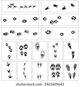 Animal and birds foot print black and white, Biggest Set of Animal and Bird Trails Silhouettes
