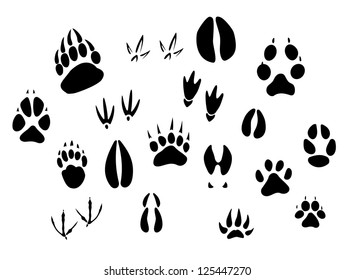 Animal - birds and mammals - footprints silhouettes set isolated on white background, such as idea of logo. Jpeg version also available in gallery svg