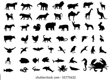 Animal black silhouettes