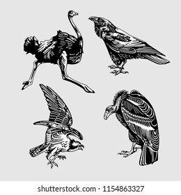 Animal Black and white vector4