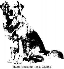 Animal Body Dog Vector Image 