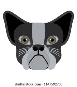 
An animal with the bulky mouth and outwards ears depicting bulldog 
