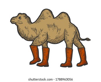 Animal camel in high boots. T-shirt apparel print design. Scratch board imitation. Color hand drawn image.