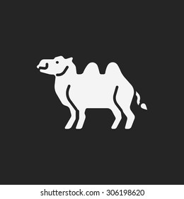 animal camel icon