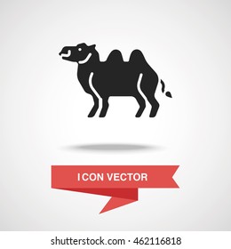 animal camel icon