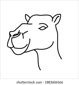 Diseño de iconos de camellos animales. Vector, imagen de clip, ilustración, diseño de icono de línea.