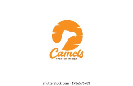 animal camels head with sunset logo vector symbol icon illustration design