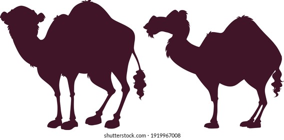 diseño vectorial moderno de los camellos animales 