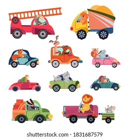 Animal car drivers. Cartoon kids vehicle, funny animals transportation group. Cute racers, isolated reptiles lion driving vector characters