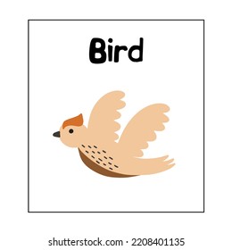 Animal card BIRD for kids. Educational preschool cards for learning animals. Learn animal name for kids.