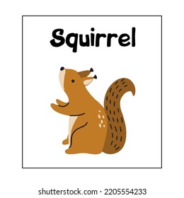 Animal card SQUIRREL for kids. Educational preschool cards for learning animals. Learn animal name for kids.