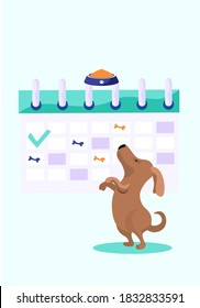 Animal care, dog feeding, happy cheerful brown puppy stands on its hind legs and reaches for the bowl with dog food delicious. Feeding schedule with bone marks, funny doggy on white background
