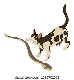 Animal care icon isometric vector. Black and white domestic cat and сommon viper. Biological diversity concept