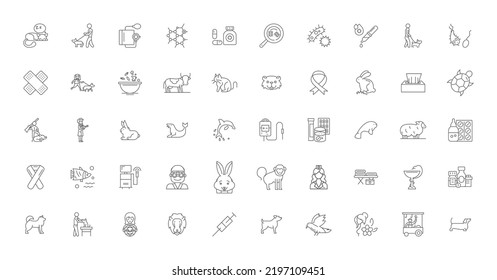 Animal care ideas, linear icons, line signs set, vector collection