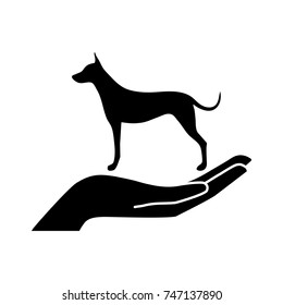  animal care vector  icon 
suitable for the theme of ecology, veterinary service, dog nurseries