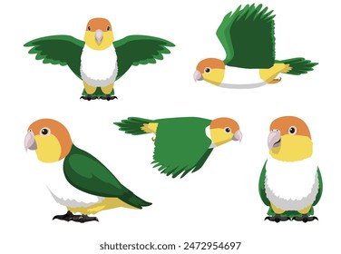 Tier Cartoon Vogel Papagei Caique Gelbschwanz Posen Vektorillustration