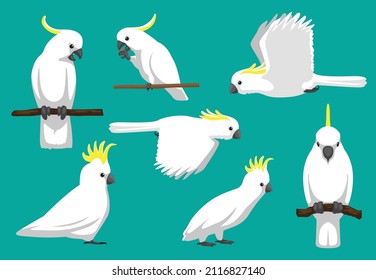 Animal Cartoon Bird Parrot Sulphur-Crested Cockatoo Vector Illustration