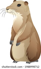 Animal Cartoon Character Of Prairie Dog On White Background Illustration