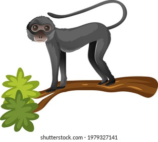 Animal cartoon character of Spider monkey on white background illustration