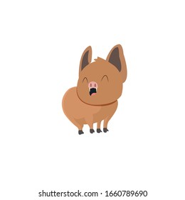 Animal Cartoon Character Vector Illustration 