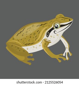 animal cartoon graphic style modern design vector