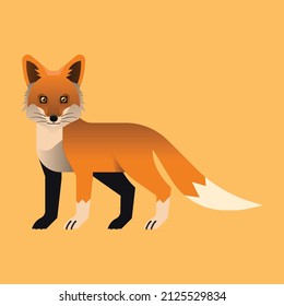 animal cartoon graphic style modern design vector