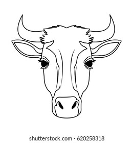 animal cartoon icon