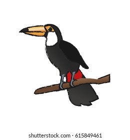 animal cartoon icon of a toucan