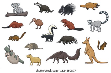 Animal cartoon icons of hunting sport, zoo and wildlife. Vector kangaroo, koala and platypus, kiwi bird, porcupine, badger, beaver and lemur, chipmunk, capybara and sloth, armadillo, skunk, anteater