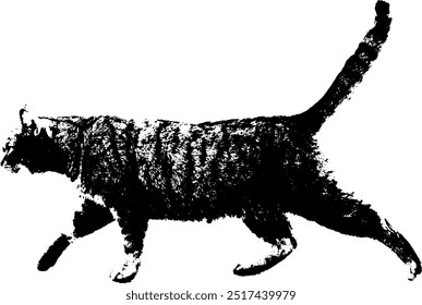 Animal Cat Body Vector Image 