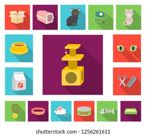 An animal cat flat icons in set collection for design. Caring for a cat vector symbol stock web illustration.