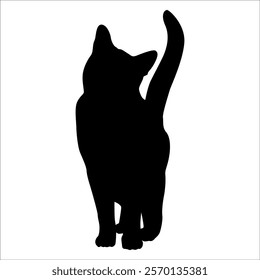 Animal Cat Silhouette vector illustration