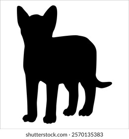 Animal Cat Silhouette vector illustration