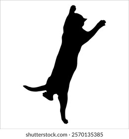 Animal Cat Silhouette vector illustration