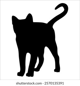 Animal Cat Silhouette vector illustration