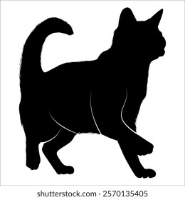 Animal Cat Silhouette vector illustration