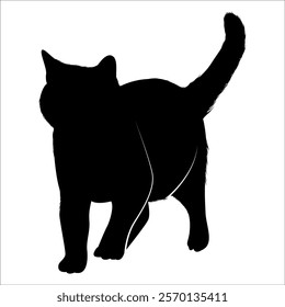 Animal Cat Silhouette vector illustration